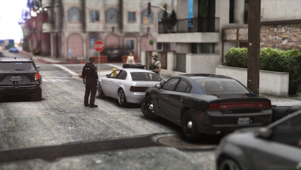 Vespucci Vandal Brought to Justice After Police Chase